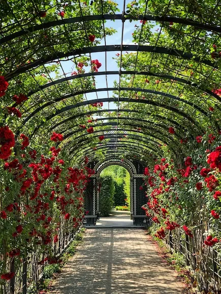 Gartengestaltung Aschenneller - schöner Rosengartenweg 