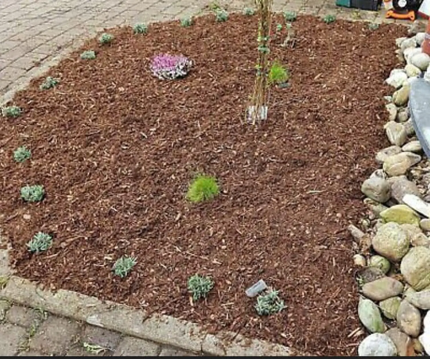 Gartengestaltung Aschenneller - Gartenerde