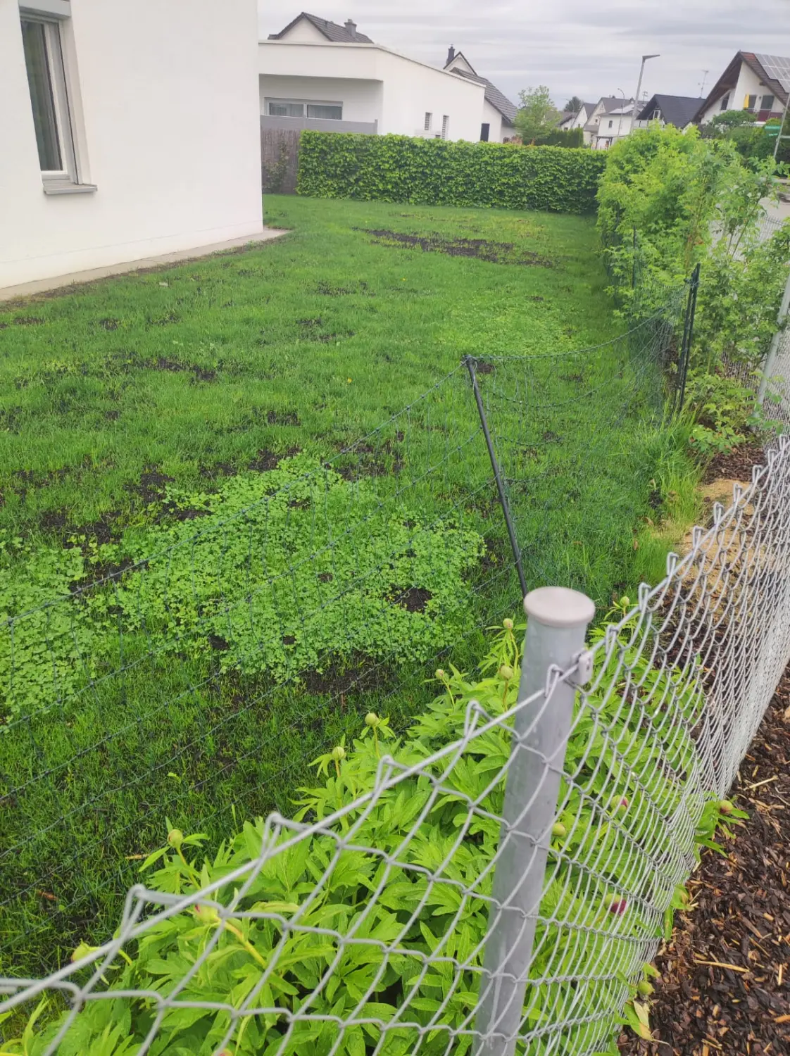 Gartengestaltung Aschenneller - Nach der Gartenarbeit